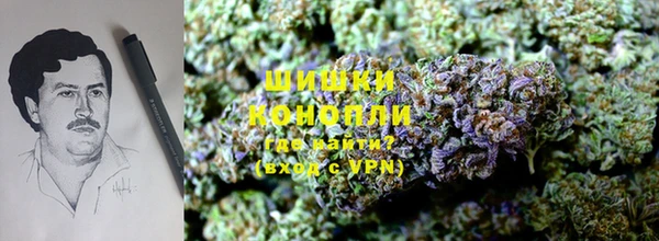 спиды Алзамай