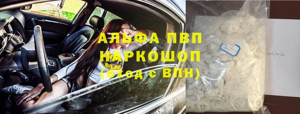 прущие грибы Абаза