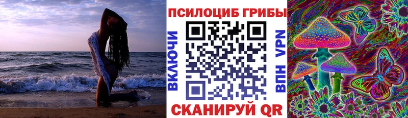 блэк спрут зеркало  это состав  Псилоцибиновые грибы Psilocybine cubensis  Усинск 