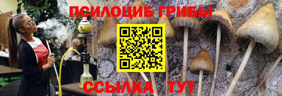 Усинск  Галлюциногенные грибы прущие грибы  Вход с VPN 