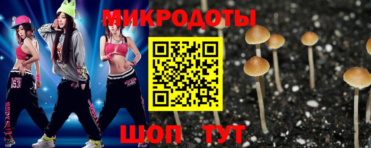 Псилоцибиновые грибы Psilocybine cubensis Усинск