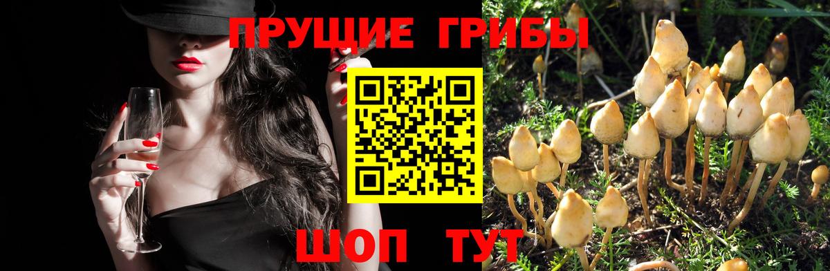 продажа наркотиков  Галлюциногенные грибы мухоморы  Вход с VPN  Усинск 