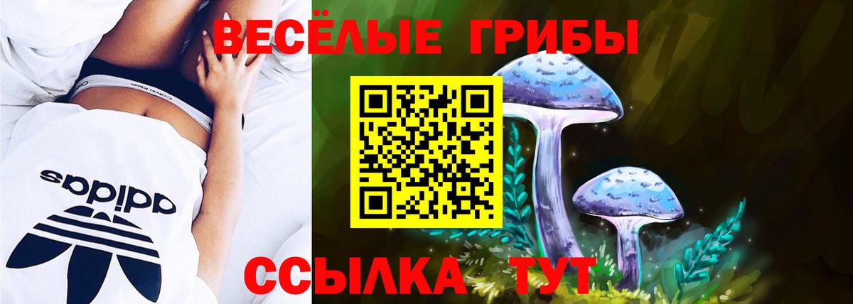 Галлюциногенные грибы мухоморы Усинск